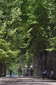 France, Moselle, Metz, Esplanade Gardens, riders preparing for the transfer of command of the 3rd Hussars Regiment