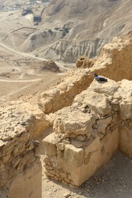 Israel, désert du Neguev, forteresse de Massada, classée Patrimoine Mondial de l'UNESCO
