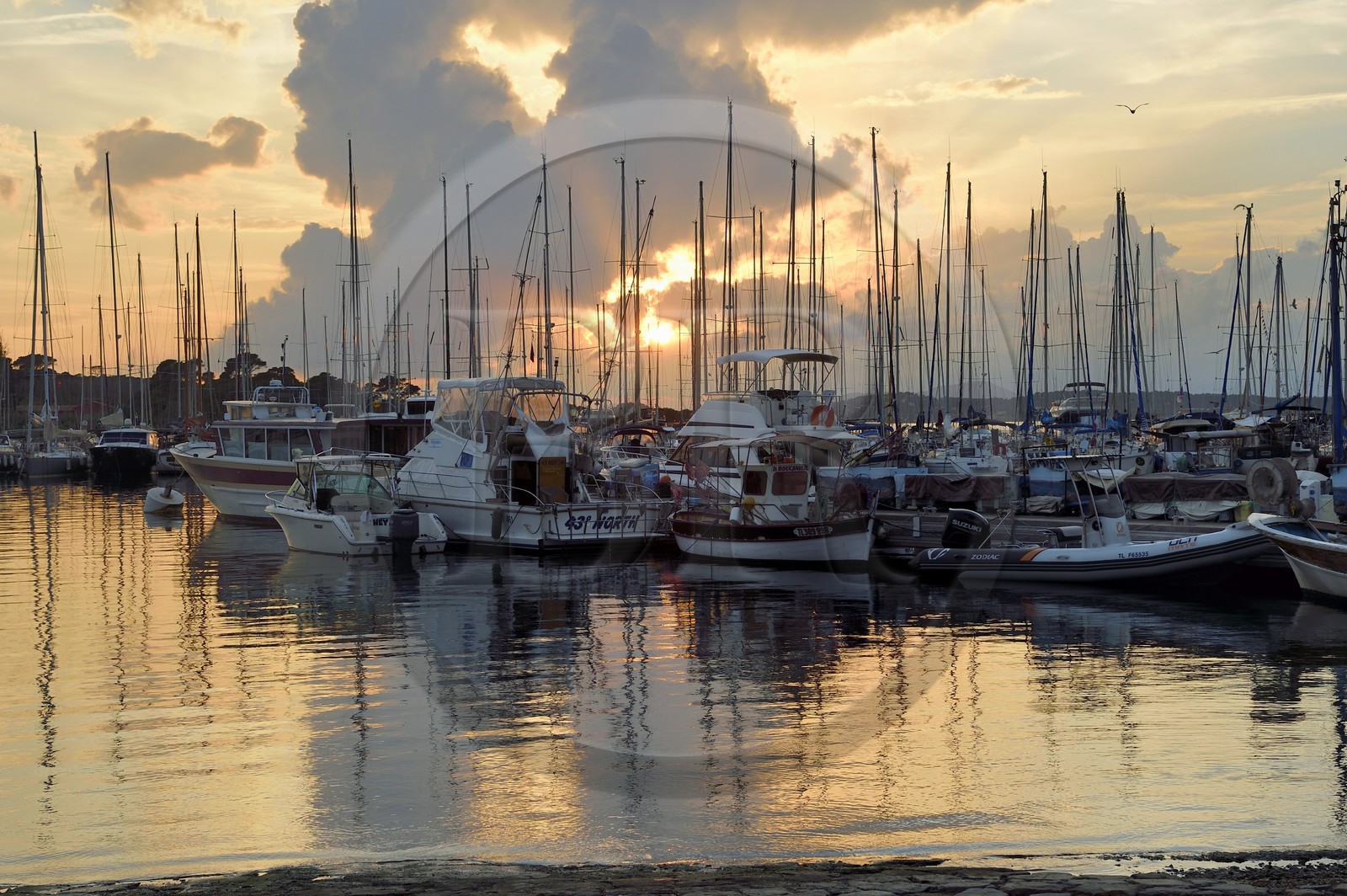 France, Var (83), Iles d'Hyères, parc national de Port Cros, Ile de Porquerolles, le port du village