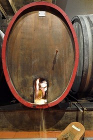 France, Haut Rhin, the Alsace Wine Route, Bergheim, Wine estate Marcel Deiss, the winegrower Mathieu Deiss cleaning the inside of a big barrel