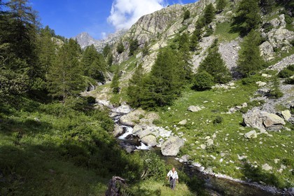 France, Alpes-Maritimes, parc national du Mercantour (Mercantour National Park), Valmasque river valley and peaks of high Valmasque, Alain Lanteri-Minet, guide and former park ranger