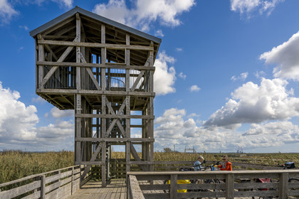 France, Loire-Atlantique (44), Lavau-sur-Loire, collection d'art contemporain à ciel ouvert Estuaire, l’Observatoire réalisé par l'artiste Tadashi Kawamata
