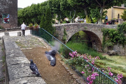 France, Var, Massif des Maures, Collobrières, the Pont Vieux (old bridge)