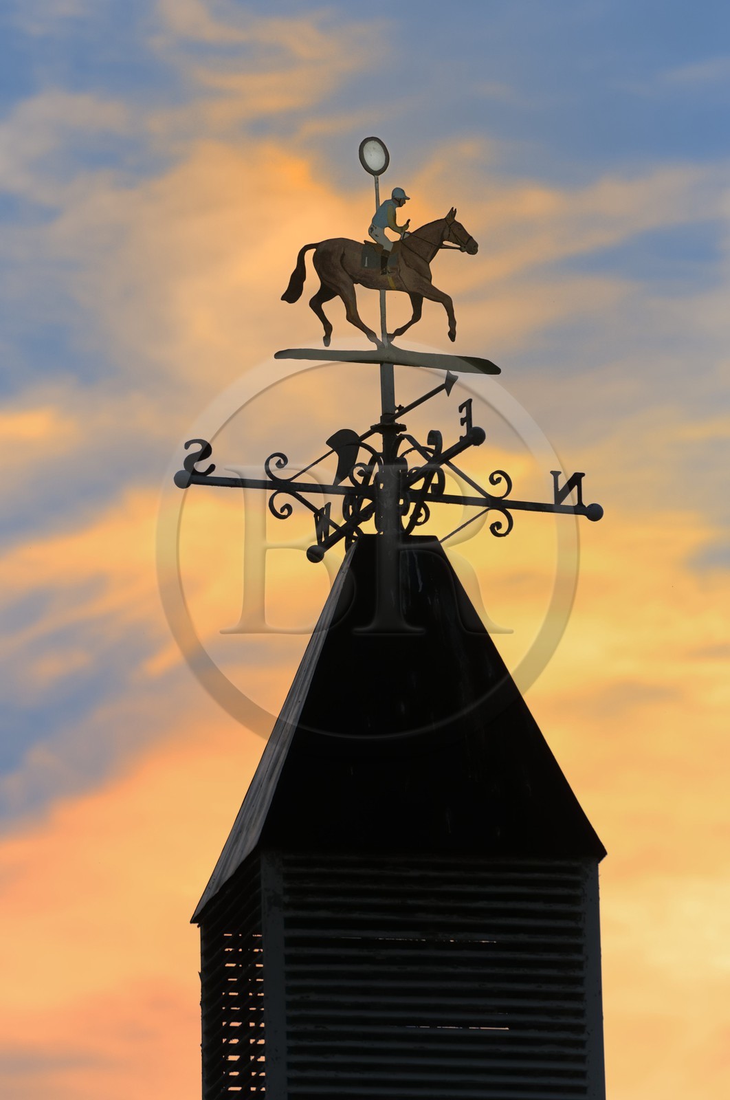 Irlande, Co. Meath, hippodrome de Fairyhouse, rose des vents à l'entrée du champ de courses