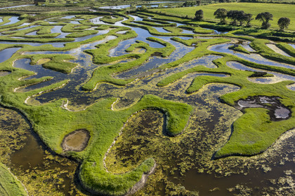 France, Vendée (85), Talmont Saint Hilaire, Guittière marshes in the hinterland of Pointe du Payré, Passage du Cul d’Ane, marshes developed for fish farming of sea bream, mullet and eels (aerial view)