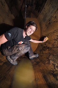 France, Haut Rhin, the Alsace Wine Route, Bergheim, Wine estate Marcel Deiss, the winegrower Mathieu Deiss cleaning the inside of a big barrel