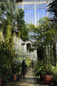 United Kingdom, Northern Ireland, Belfast, the Palm House at the Botanic Gardens