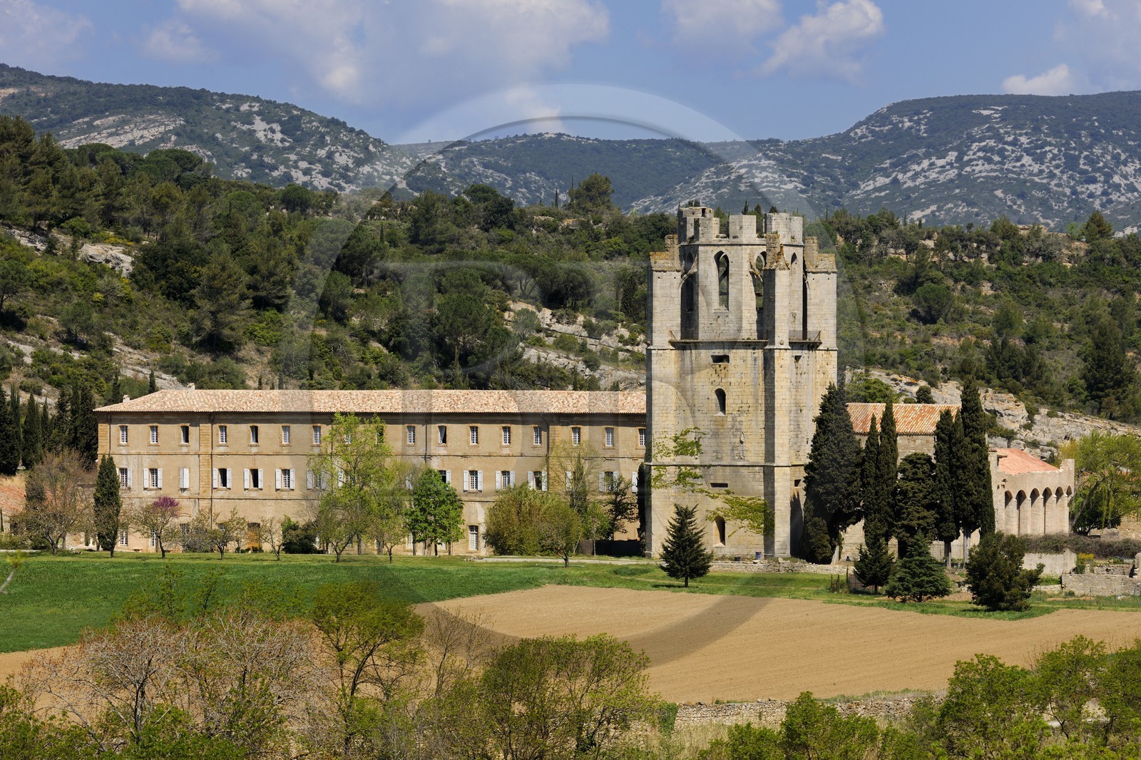 France, Aude (11), village de Lagrasse, labellisé Les Plus Beaux Villages de France, abbaye Sainte-Marie de Lagrasse