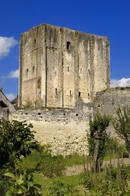 France, Indre-et-Loire (37), Loches, le donjon et la forteresse féodale