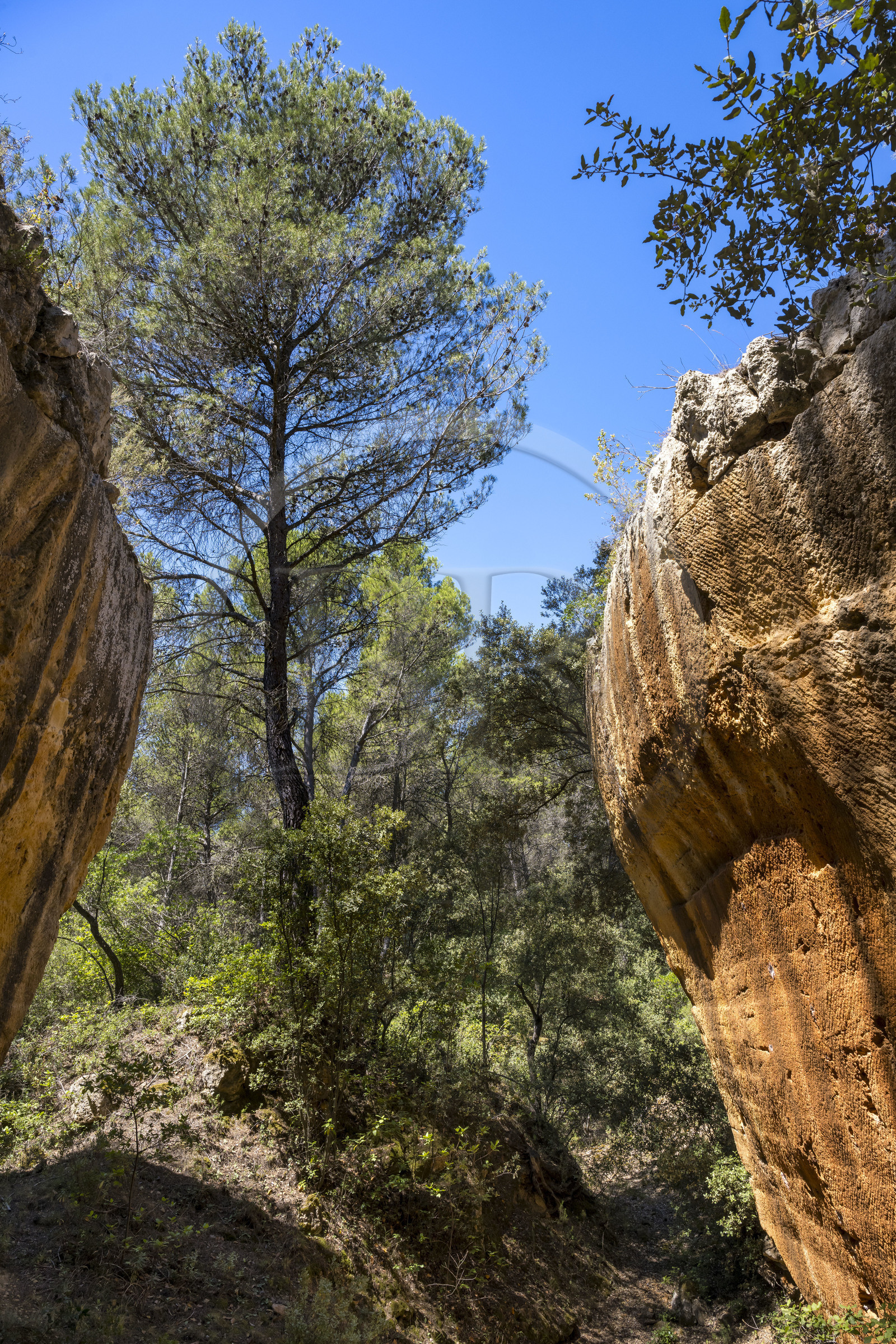 France, Bouches-du-Rhône (13), Aix en Provence, plateau de Bibemus, les carrières de Bibemus qui ont inspirées de nombreuses toiles de Cézanne