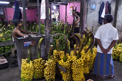 Sri Lanka, Western Province, Colombo District, Colombo, Manning fruits and vegetables market in Pettah district