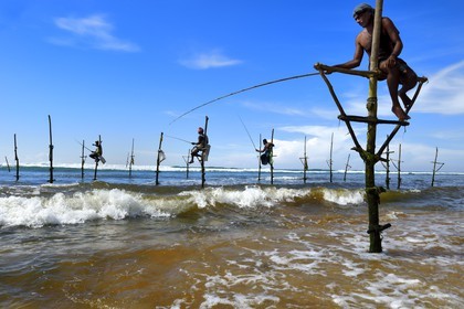 Sri Lanka, Southern Province, Galle district, Midigama beach, Pole Fishermen or Stilt Fishermen ply their trade along the Galle coastline