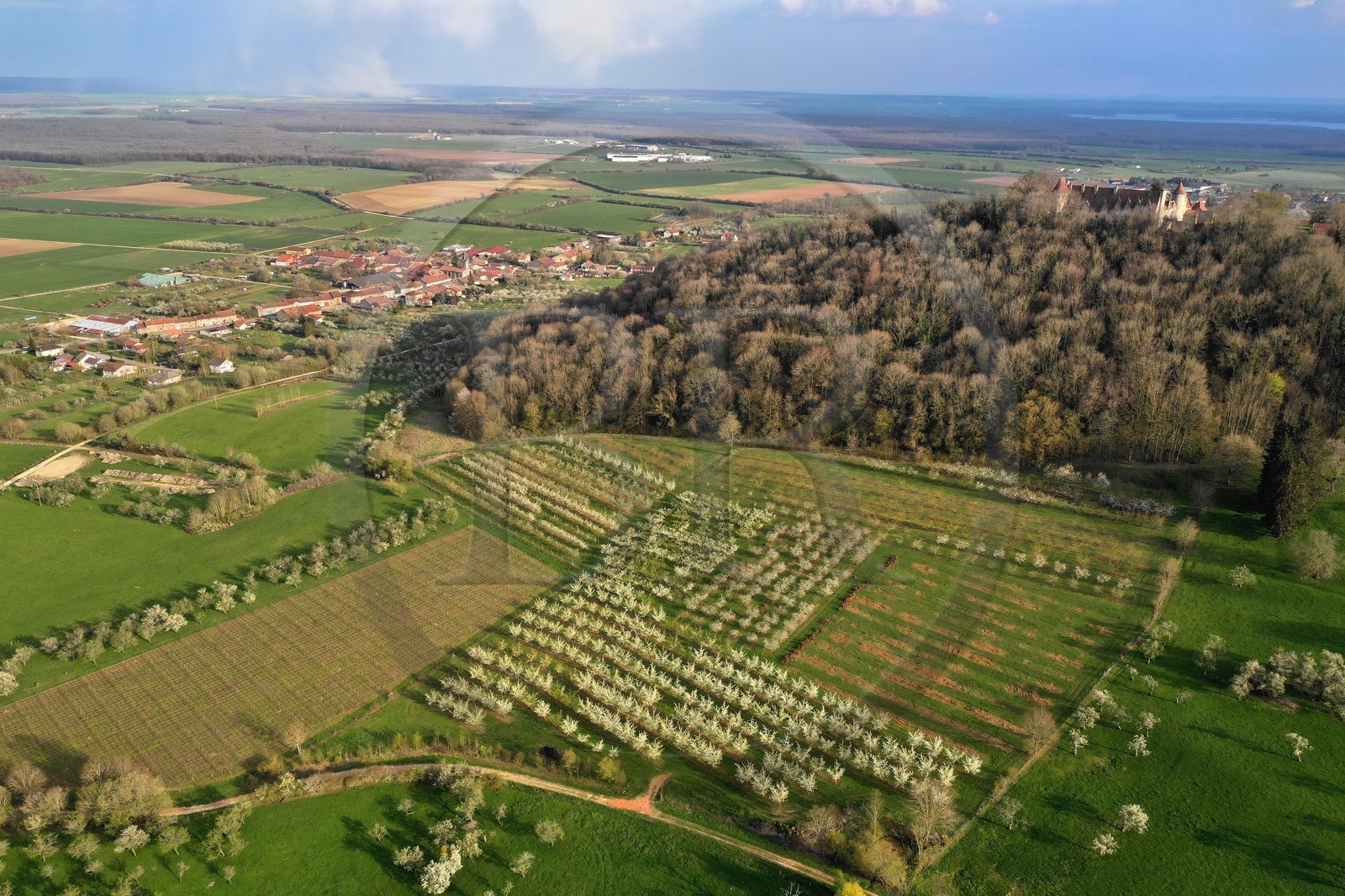 France, Meuse (55), Parc r
