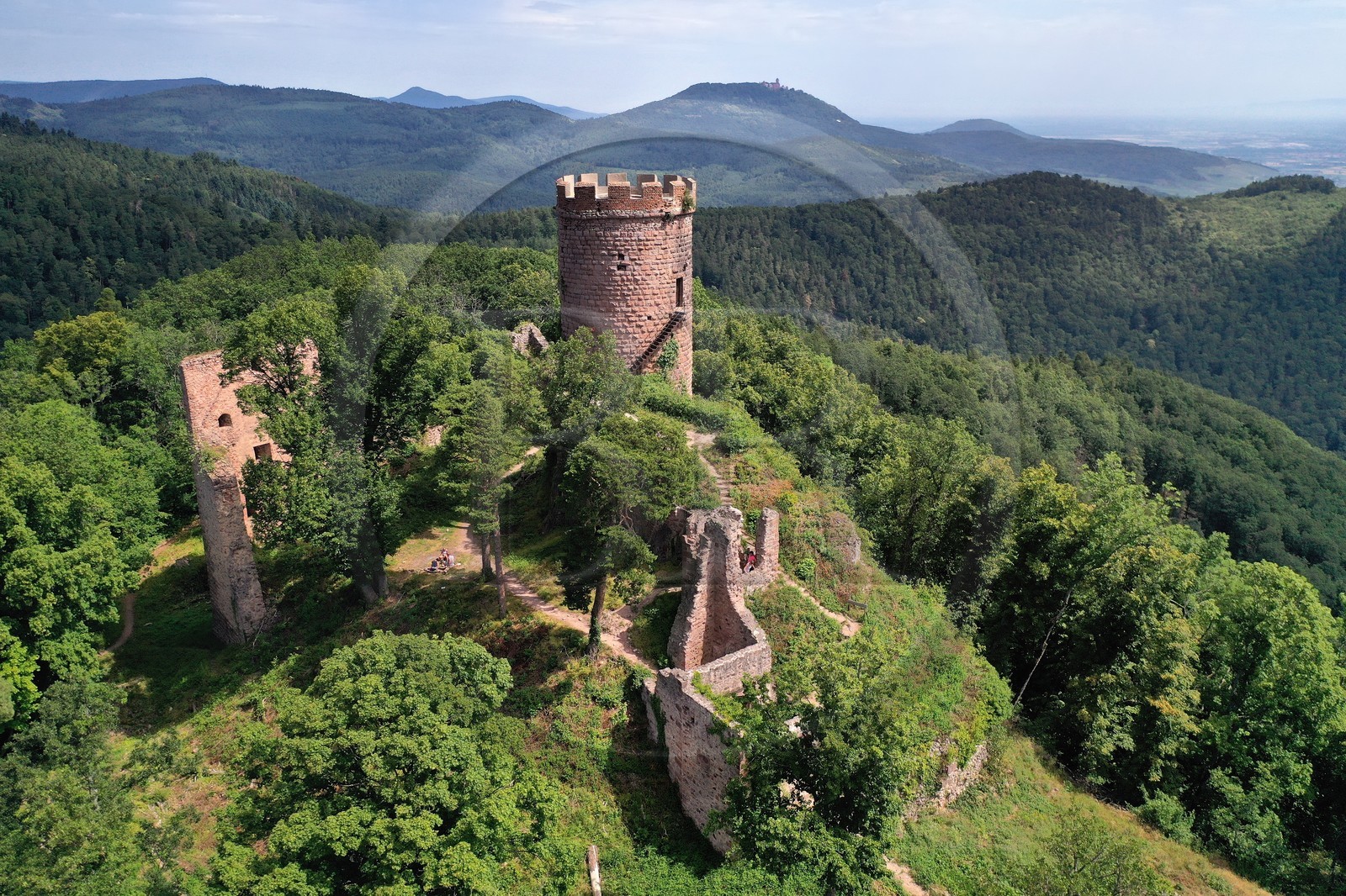 France, Haut-Rhin (68), Route des vins d'Alsace, Ribeauvill