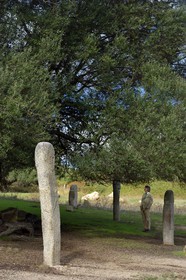 France, Corse du Sud, prehistoric site of Filitosa, menhirs statues of armed characters