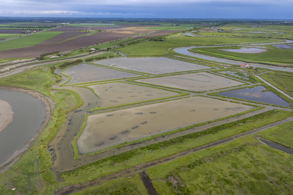 France, Charente-Maritime (17), Parc Interrégional du Marais Poitevin labellisé Grand Site de France, Charron, le Marais de Landelène entre l'embouchure de la Sèvre Niortaise et le canal maritime de Marans à la mer (vue aérienne)