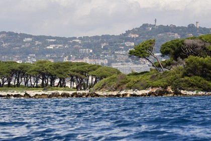 France, Alpes-Maritimes (06), Cannes, Iles de Lérins, IIe Sainte-Marguerite et Cannes en arrière plan