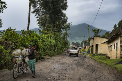 Rwanda, Province du Nord, District de Musanze (Ruhengeri), Busogo, piste menant au mont Karisimbi dans les montagnes des Virunga dont il est le point culminant (en arrière plan) et où vivent les gorilles