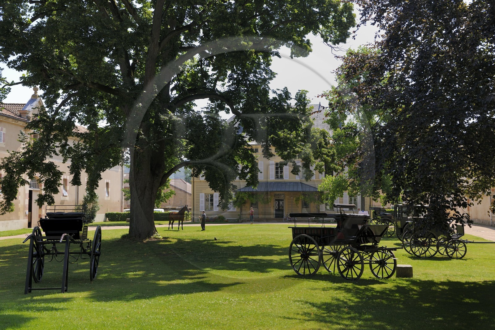 France, Saône et Loire (71), Cluny, le Haras national
