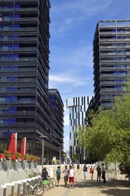 France, Bas-Rhin (67), Strasbourg, amenagement du port du Rhin et reconversion du mole du Bassin d'Austerlitz, presqu'ile Malraux, immeubles les Black Swans par l’architecte Anne Demians et la tour Elithis en arrière plan