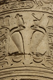 Egypt, Upper Egypt, Nile Valley, Kom Ombo Temple dedicated to Sobek, the god with a crocodile's head