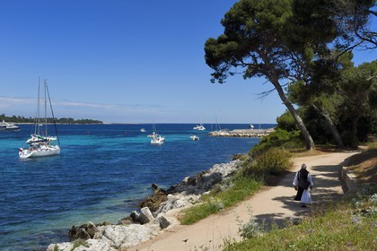 France, Alpes-Maritimes, Lerins Islands, Saint-Honorat island, monk returning to the monastery