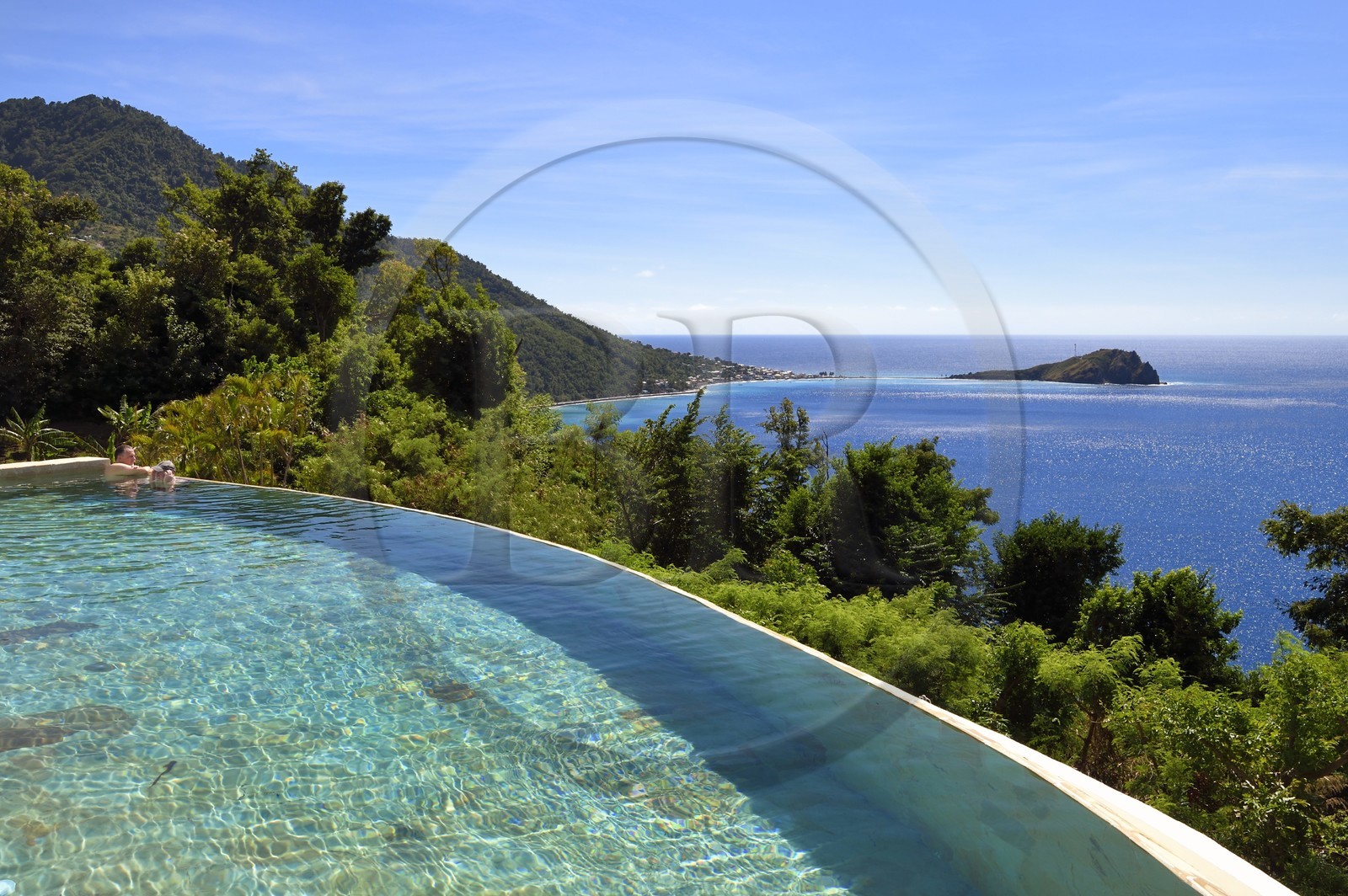 Caraïbes, Ile de la Dominique, baie de Soufrière, Soufrière, piscine à débordement de l'hotel Jungle Bay