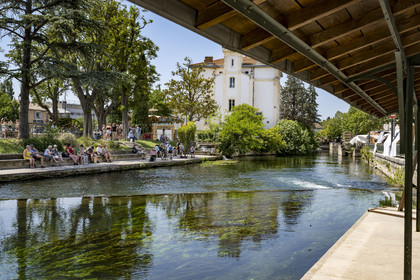 France, Vaucluse, L'Isle sur la Sorgue, the banks of the Sorgue river with undulating seagrass in the heart of the old town quai Jean Jaures