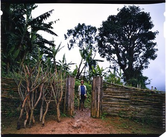 Burundi, Bujumbura Province, Ijenda area, Tutsi boy in the main courtyard of the rugo (traditional farm), inside a livestock enclosure, the main entry may be blocked quickly with branches placed next to the door (4x5 reversal film reproduction)