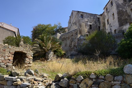 France, Haute Corse, Calvi, the citadel, ruins of the supposed birthplace of Christopher Columbus
