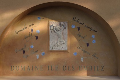 France, Var (83), Ile des Embiez, le domaine viticole