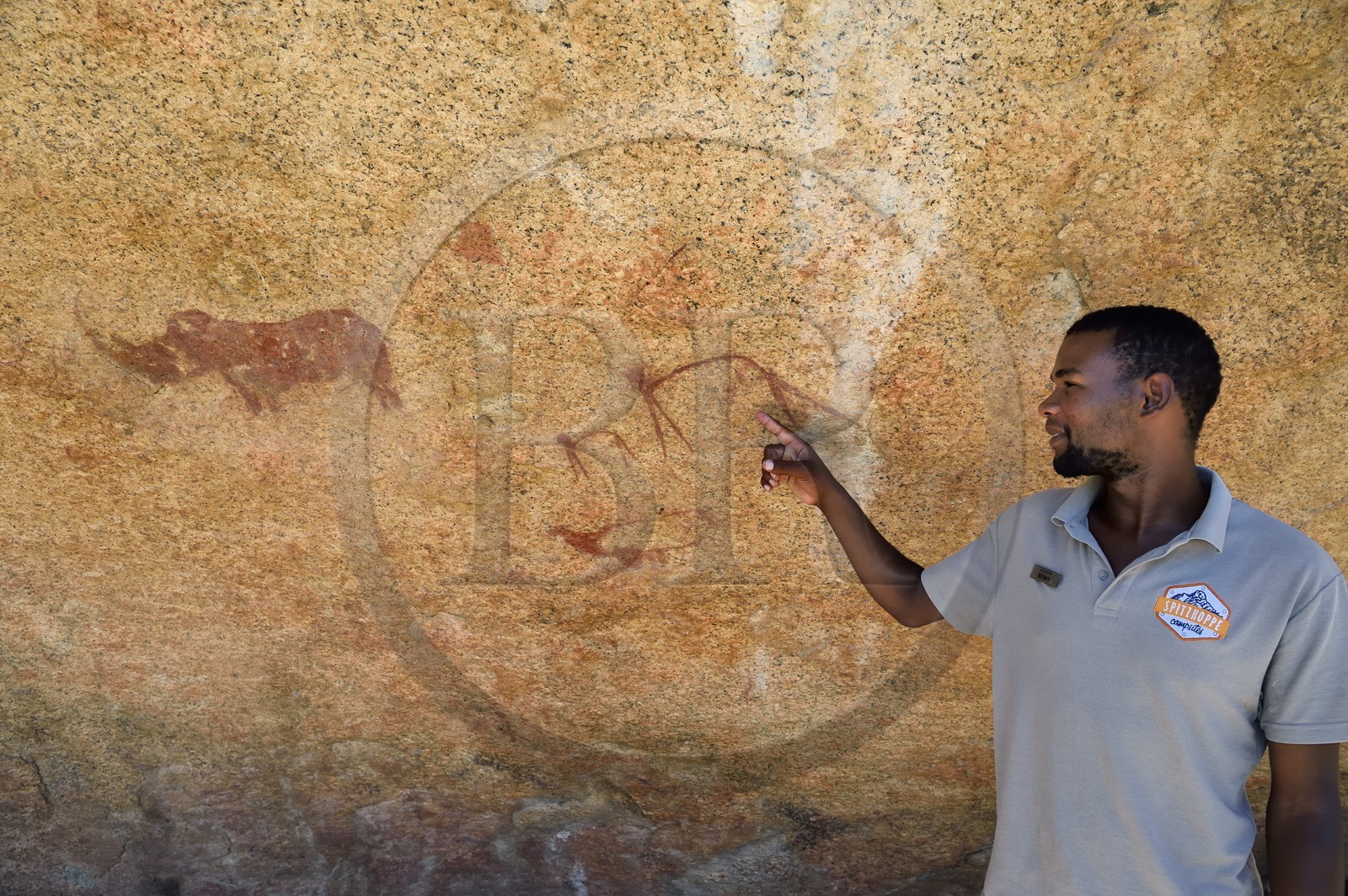 Namibie, région de Erongo, Damaraland, les monts Pondok à l'Est du Spitzkoppe dans le désert du Namib, peintures rupestres sous un surplomb granitique appelé le Paradis du Bushman qui auraient été peintes entre 4.400 av. JC et 100 après JC, Benny le guide local Damara présente un rhinocéros et des figures humaines