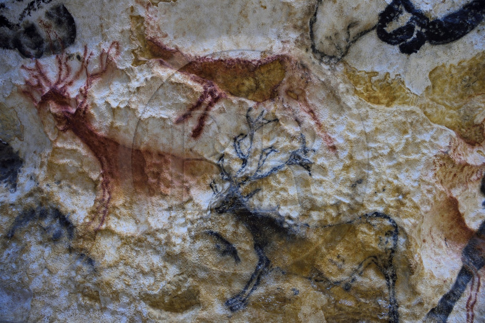 France, Dordogne (24), Montignac, l’Atelier des Fac-Similés du Périgord (AFSP) spécialisé dans la reproduction minérale de parois ornées de la préhistoire et en charge de la reconstitution fidèle des parois de la grotte de Lascaux, cerfs, mention obligatoire Atelier des Fac-Similés du Périgord