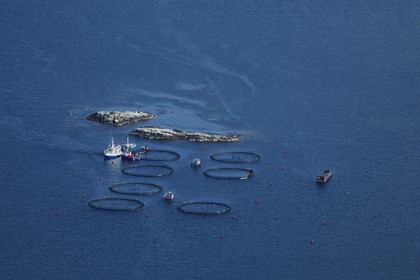 Norvège, Nord-Trondelag, pisciculture en mer (vue aérienne)