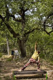 France, Var (83), Provence Verte, Bras, Académie du Bain de Forêt Provençale, forêt du domaine Le Peyrourier - une campagne en Provence, Constanze Coisne guide le Shinrin Yoku
