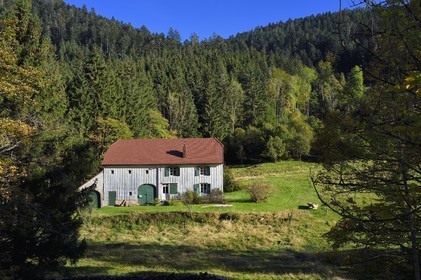 France, Vosges, Le Valtin, village in the upper valley of the Meurthe, facade of house covered with shingles or wooden slats used for protection against bad weather
