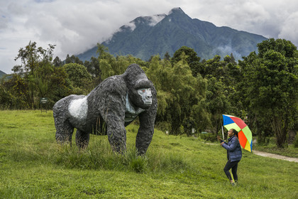Rwanda, Province du Nord, District de Musanze (Ruhengeri), Kinigi, Mountain Gorilla View Lodge, le mont Sabyinyo dans les montagnes des Virunga en arrière plan