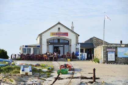 France, Finistère (29), La Foret Fouesnant, archipel des Glénan, Ile Saint-Nicolas, le restaurant La Boucane