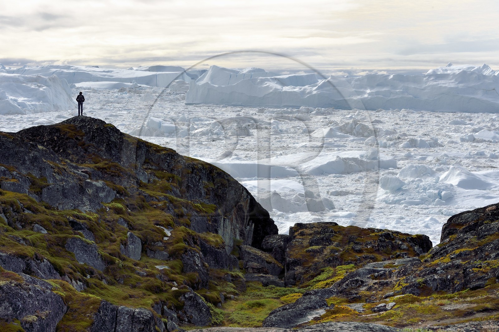 Groenland, cote ouest, baie de Disko, Ilulissat, randonneur en bordure du fjord glacé classé Patrimoine Mondial de l'UNESCO qui est l’embouchure maritime du glacier Sermeq Kujalleq (Jakobshavn Glacier)