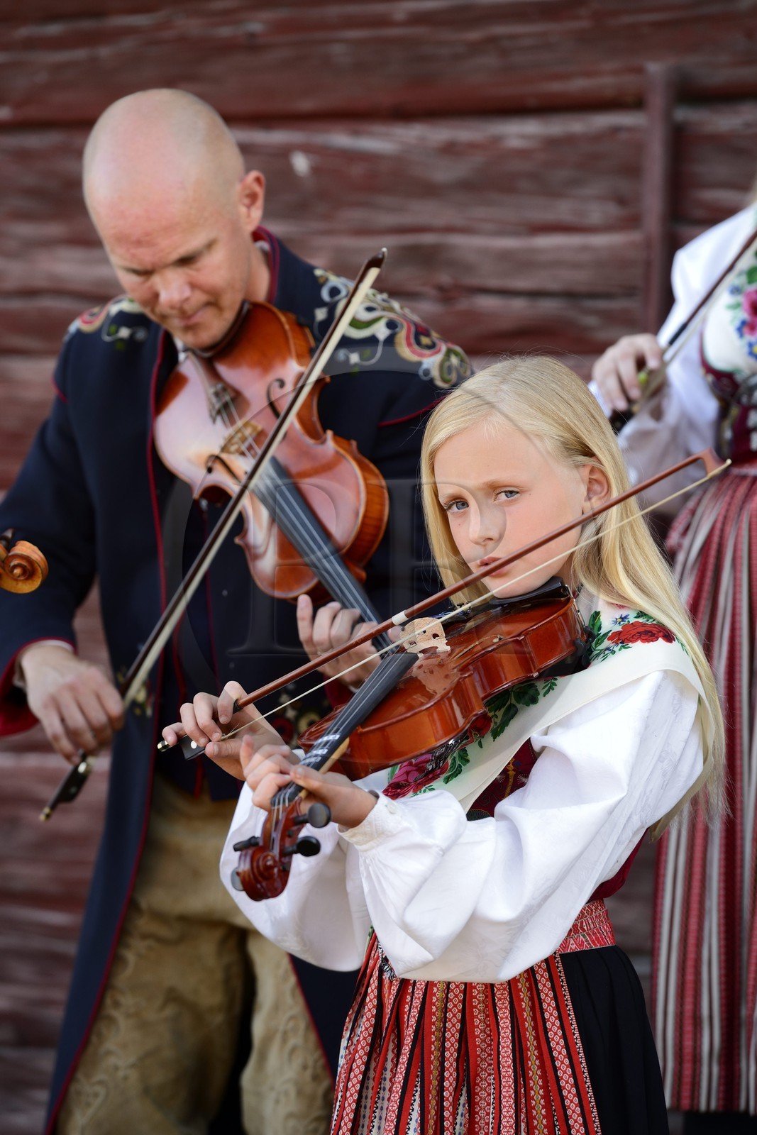 Suède, comté de Dalécarlie, région de Leksand, célébrations du solstice d'été dans le petit hameau de Hjulbäck, jeune fille en costume traditionnel jouant du violon
