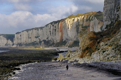 France, Seine-Maritime, Cote d'Albatre, Yport, a fisherman walking on the beach at low tide under the cliffs