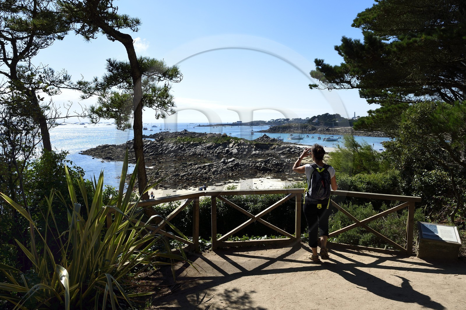 France, Finistère (29), Ile-de-Batz, jardin Georges Delaselle ou jardin colonial, jardin exotique présentant une collection botanique provenant des cinq continents