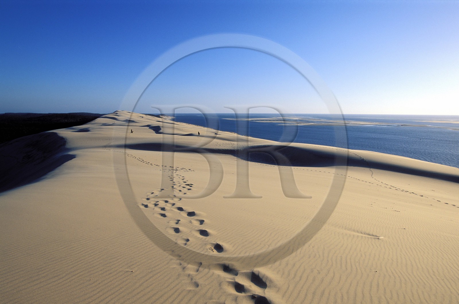 France, Gironde (33), Bassin d'Arcachon, empreintes de pas au sommet de le dune du Pilat France, Gironde (33), Bassin d'Arcachon, empreintes de pas au sommet de le dune du Pilat