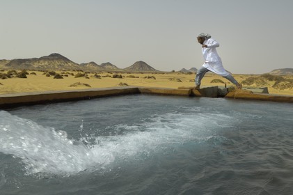 Egypte, Basse-Egypte, désert libyque, oasis de Bahariya (Bahareyya),  source d'eau chaude