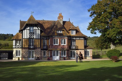 France, Calvados (14), Pays d'Auge, Beuvron-en-Auge, labellisé Les Plus Beaux Villages de France, manoir du Haras de Sens, le cheval Gold de Padd (fils de l'étalon Ready Cash) tenu par le stud groom Dominique Blachet