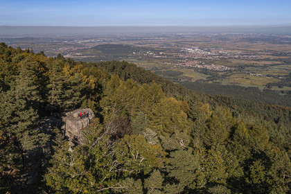 France, Bas-Rhin (67), Mont Saint-Odile, randonnée des chemins des Chateaux-forts d'Alsace, le rocher du Maennelstein en bordure du Mur Paien, éperon rocheux en grès haut d'une quinzaine de mètres qui surplombe à 817 m la plaine d'Alsace (vue aérienne)