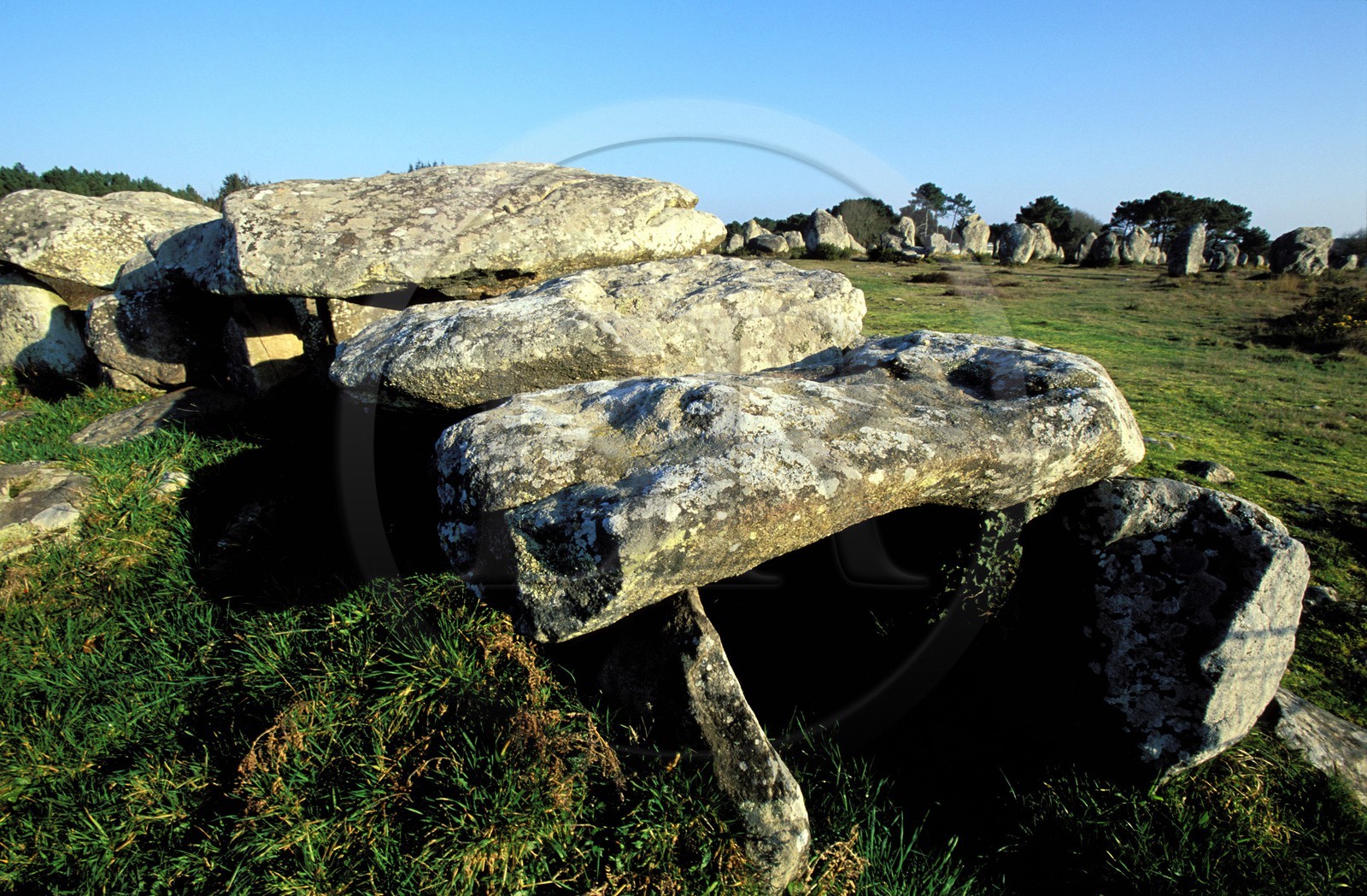 France, Morbihan (56), les mégalithes de Carnac, dolmen des alignements de Kermario