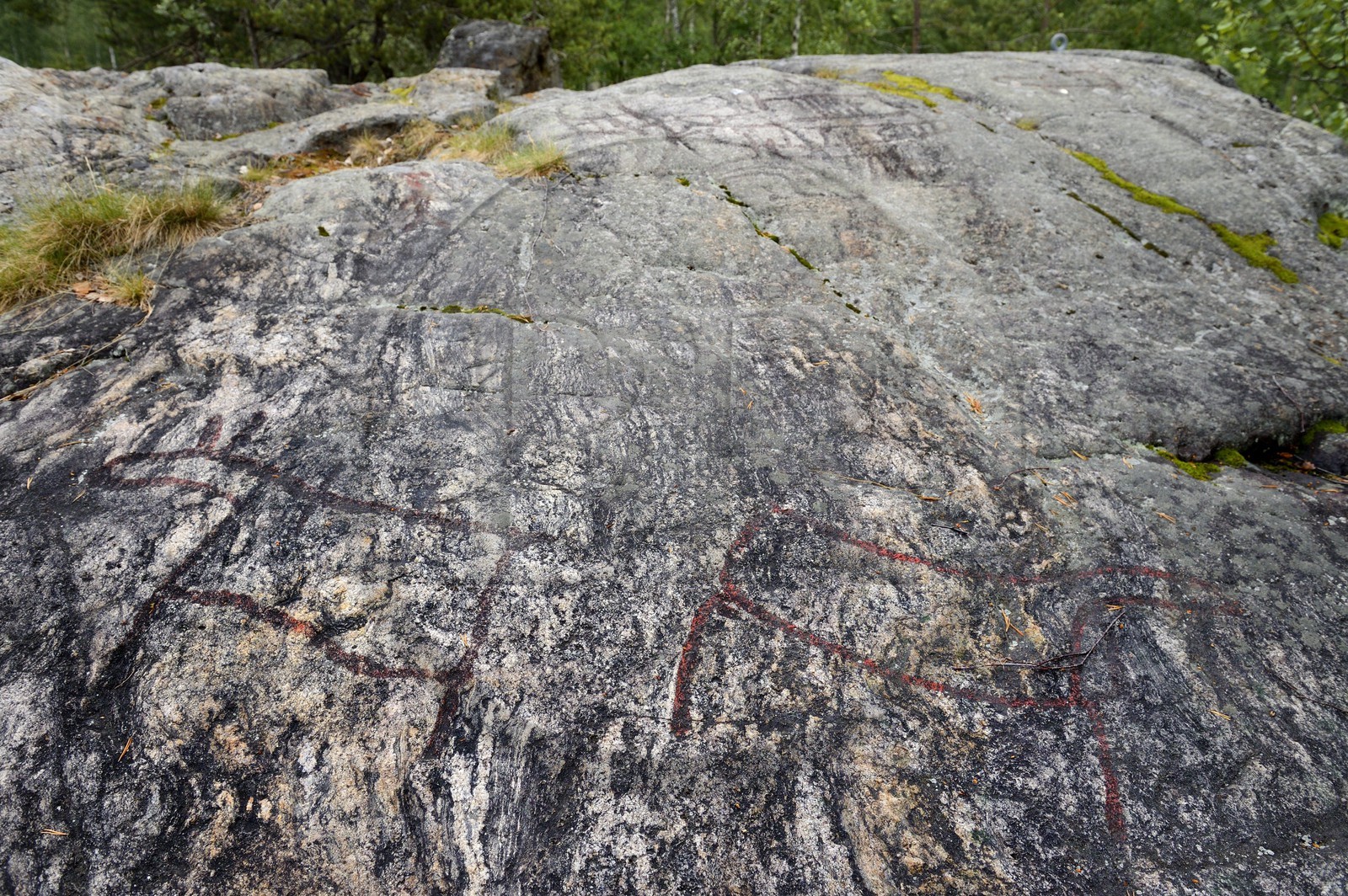 Suède, Comté de Vasterbotten, Umea, gravures rupestres de Norrfors datant de 2000-3000 avant Jésus-Christ