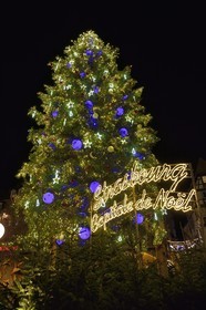 France, Bas Rhin, Strasbourg, old town listed as World Heritage by UNESCO, the big Christmas tree in place Kléber