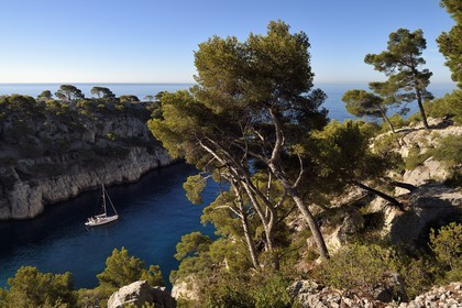France, Bouches du Rhone, Marseille, National Park of the Calanques, Calanque de Port Pin (cove) (request for authorization necessary before publication)